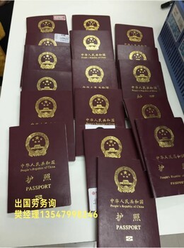 金華出國勞務(wù)派遣 助力海外援建與農(nóng)業(yè)發(fā)展的就業(yè)新機遇